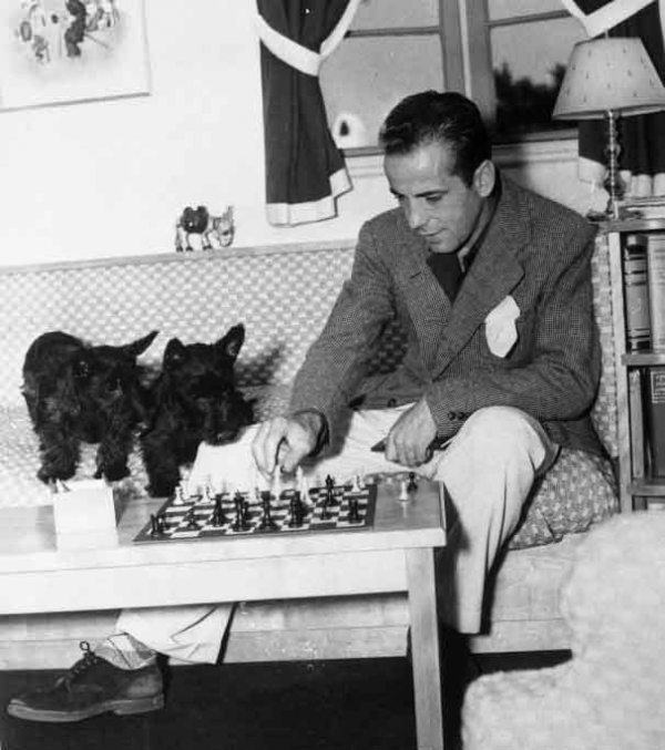 15&omicron; &Tau;&Omicron;&Upsilon;&Rho;&Nu;&Omicron;&Upsilon;&Alpha; &Epsilon;&Nu;&Eta;&Lambda;&Iota;&Kappa;&Omega;&Nu; &Alpha;.&Omicron;.&Kappa;&Eta;&Phi;&Iota;&Sigma;&Iota;&Alpha;&Sigma; 16/12